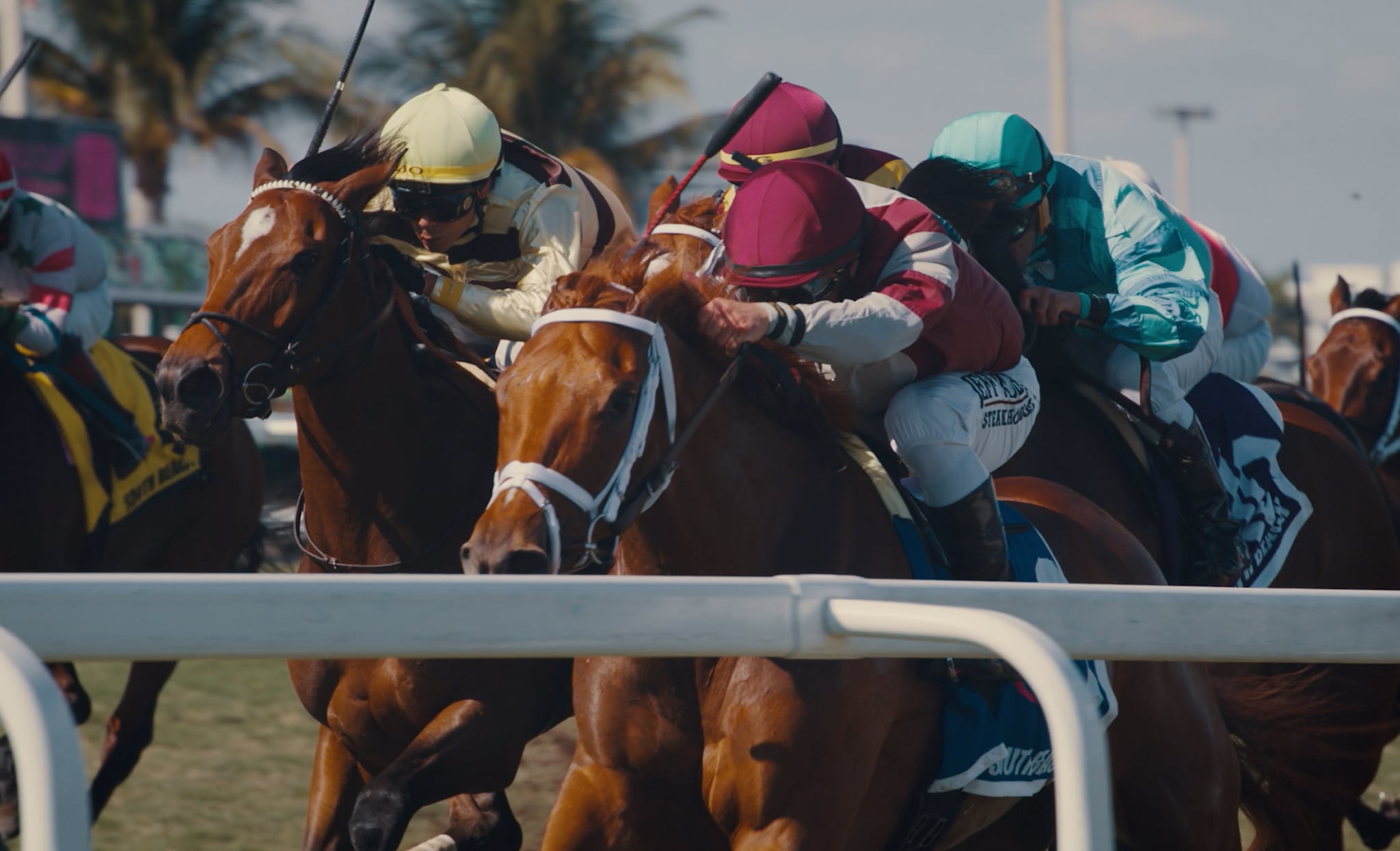 deep-sleep-studio-pegasus-world-cup-hero deep-sleep-studio-pegasus-world-cup-hero