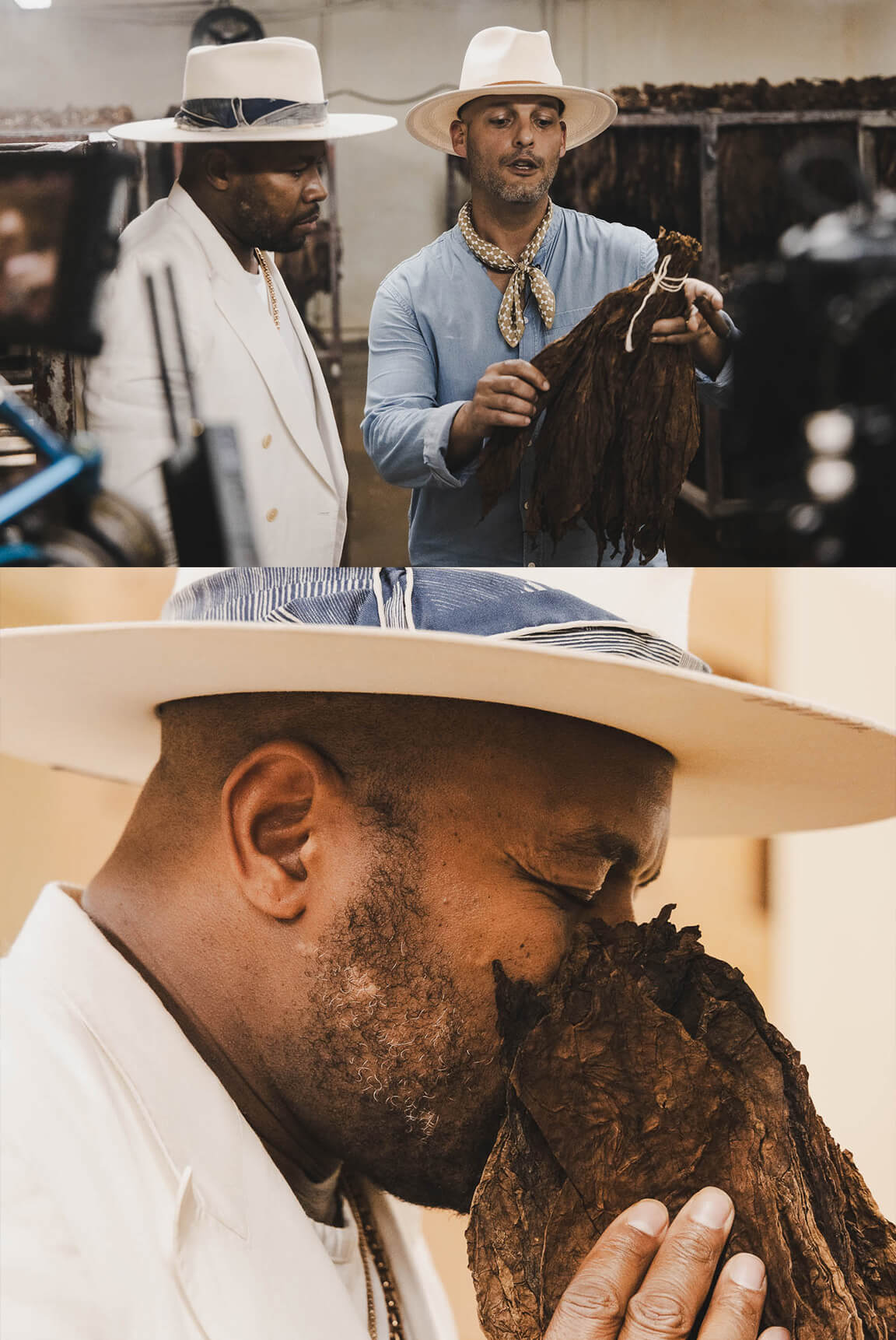 DNice-EddyGuerra-Avo-Cigars-DeepSleep-Studio-Dominican Republic-cigar-2 DNice-EddyGuerra-Avo-Cigars-DeepSleep-Studio-Dominican Republic-cigar-2