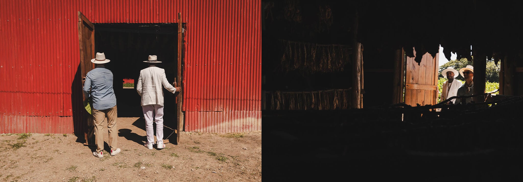 deepsleep-studio-DNice-AvoCigars-travels_farm deepsleep-studio-DNice-AvoCigars-travels_farm